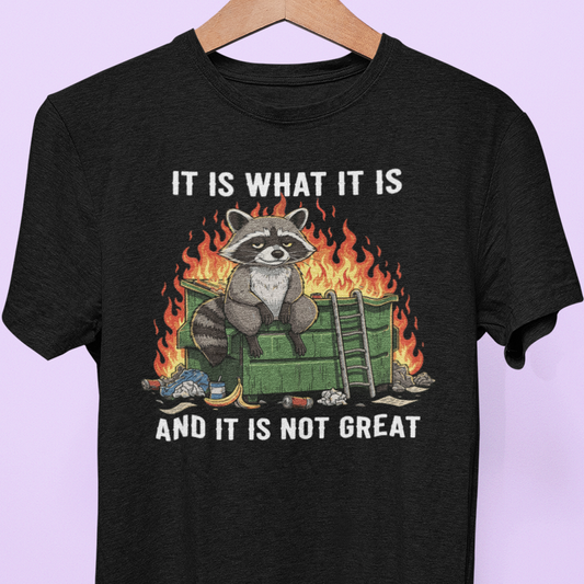 "It Is What It Is and It's Not Great" Tee